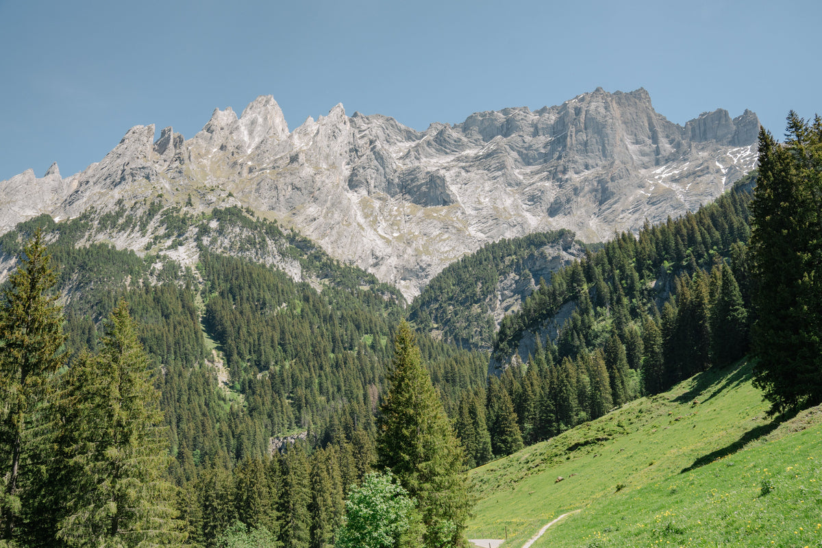 Bergsteigen oder Wandern – Was ist eigentlich der Unterschied?