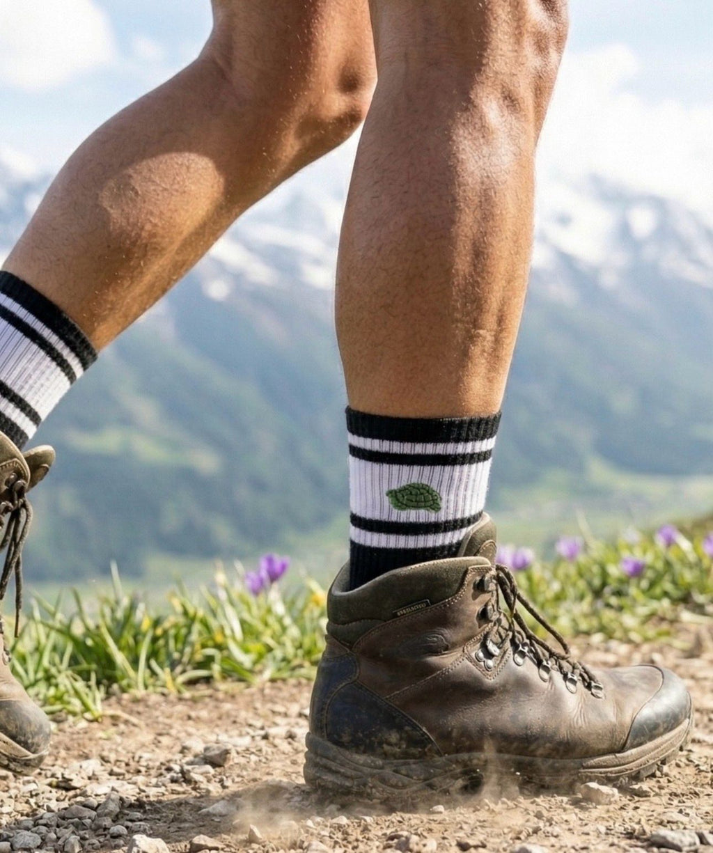 Bundle Black Turtle Sock Premium Hike