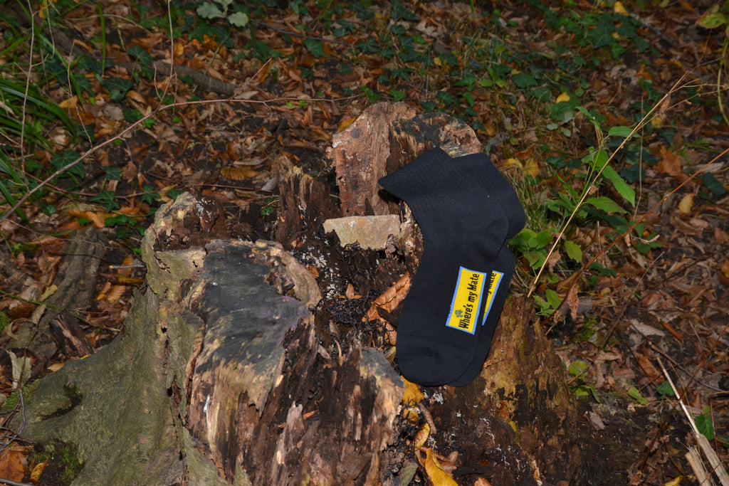 Where is my mate Socke auf einem Waldweg zwischen Ästen und Blättern, bereit für Entdeckungstouren
