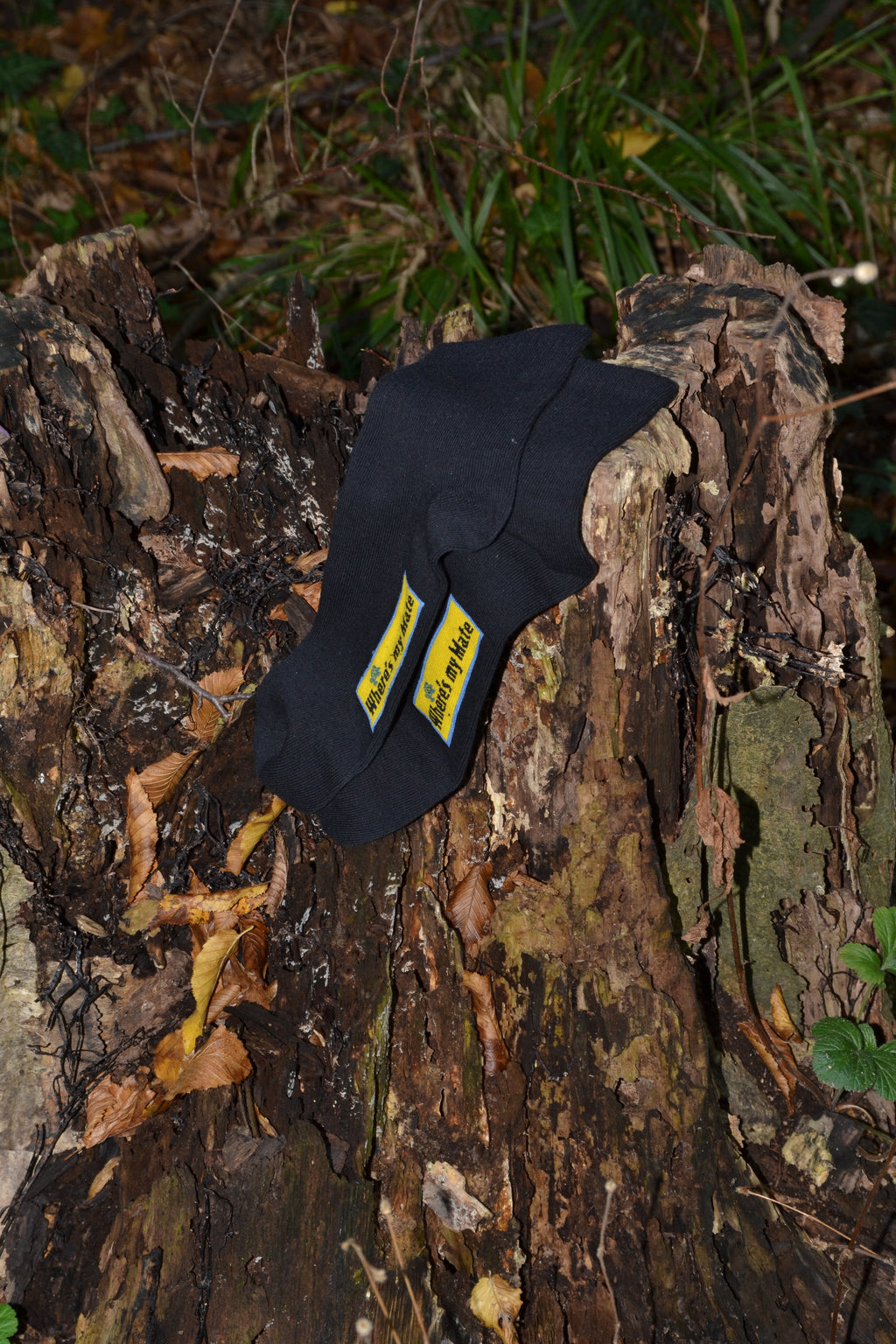 Einzelne Where is my mate Socke versteckt im Unterholz, als würde sie ihren Partner suchen