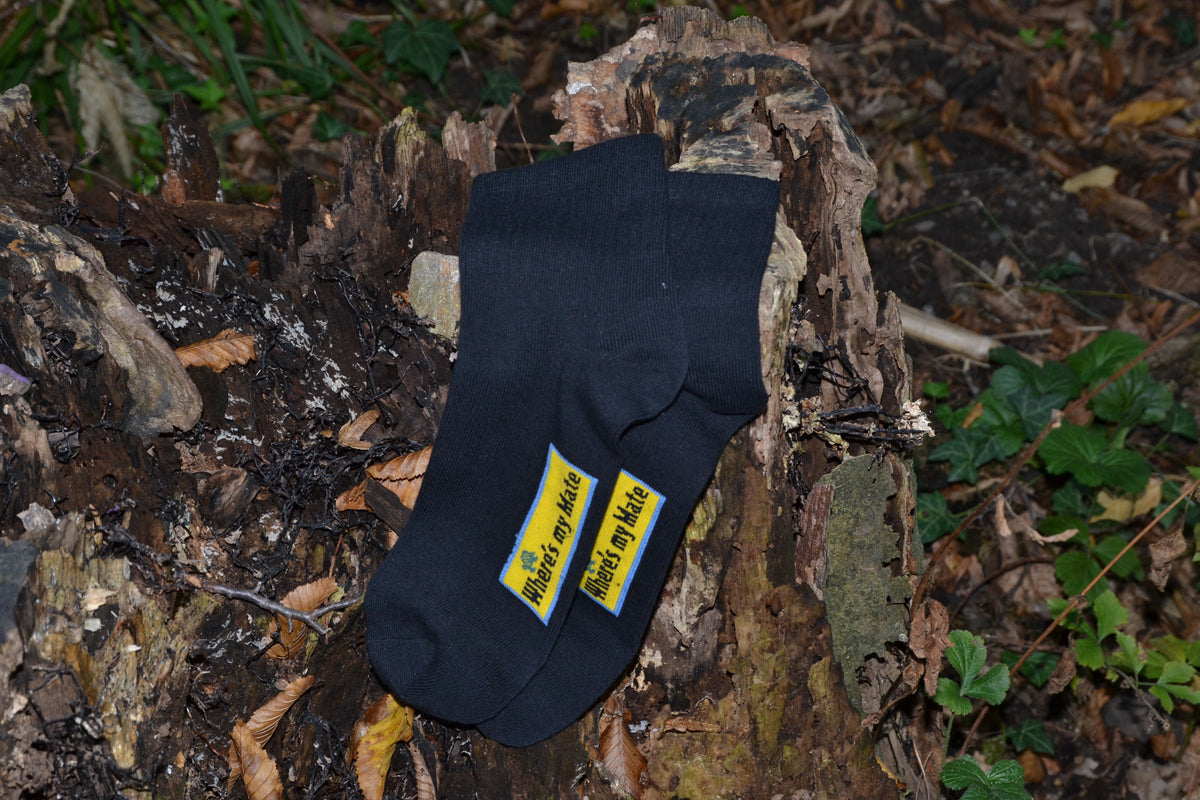 Where is my mate Socke im Herbstwald auf trockenem Laub, ideal für Wanderungen und lange Touren